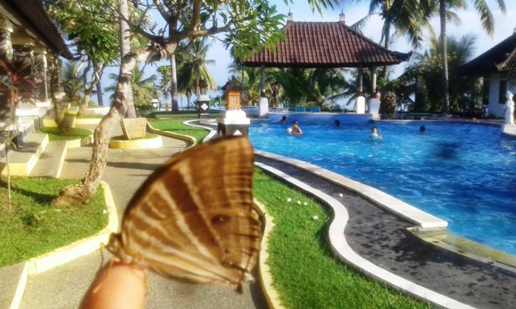 Bali Sunset Hotel Negara  Exteriör bild